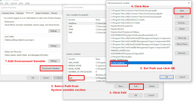 Set chromedriver path